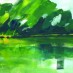 Sommerbäume